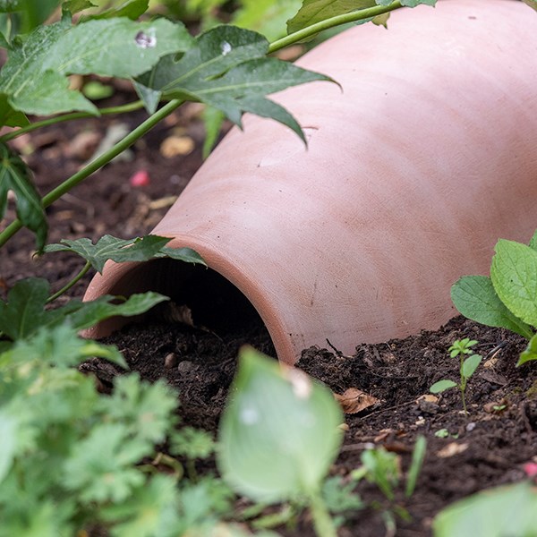 Hedgehog house / pot
