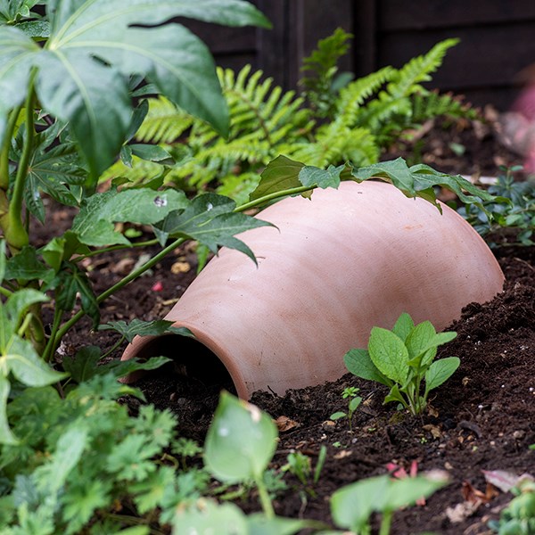Hedgehog house / pot