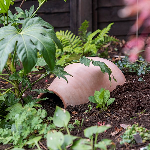 Hedgehog house / pot