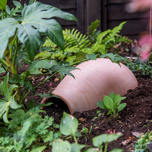 Hedgehog house / pot