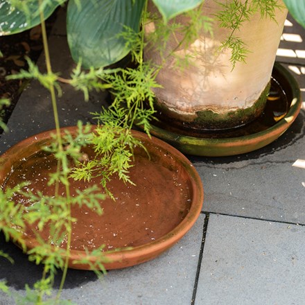 Terracotta saucer