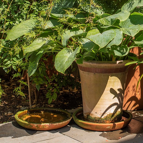 Terracotta saucer