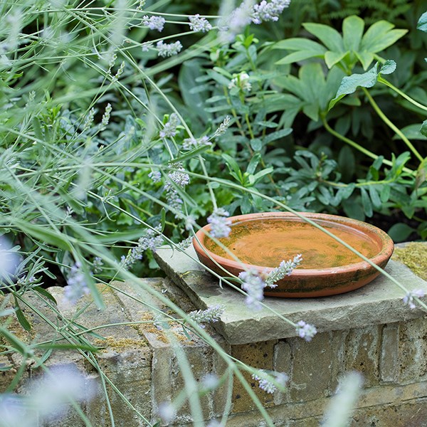 Terracotta saucer