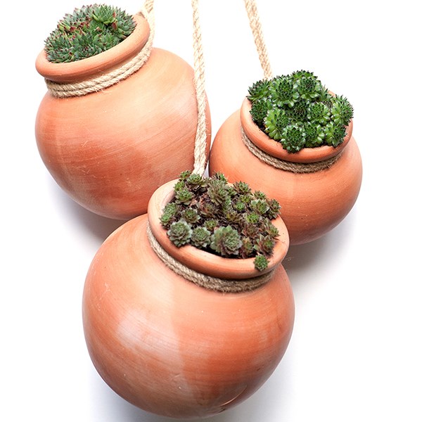 Terracotta babylon hanging pot