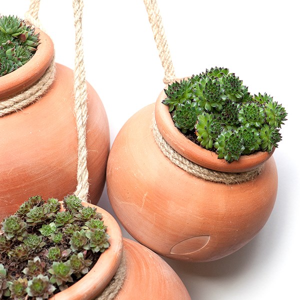 Terracotta babylon hanging pot