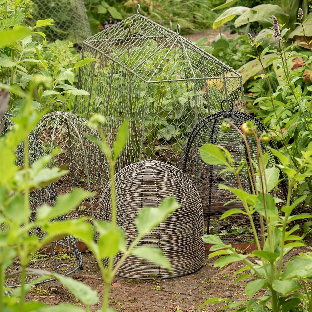 Tent cloche