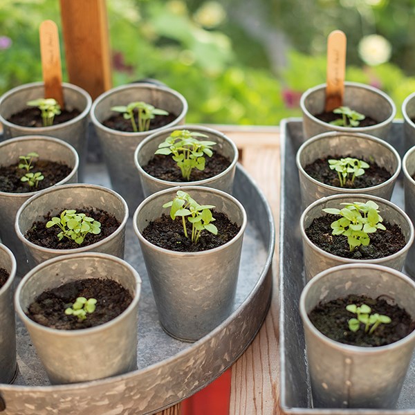 Galvanised metal pots - set of 6