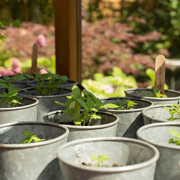 Galvanised metal pots - set of 6