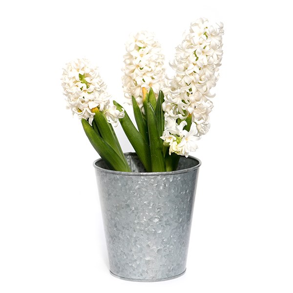 Galvanised metal pots - set of 6