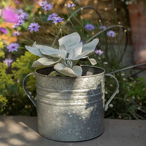 Galvanised metal planter with handles
