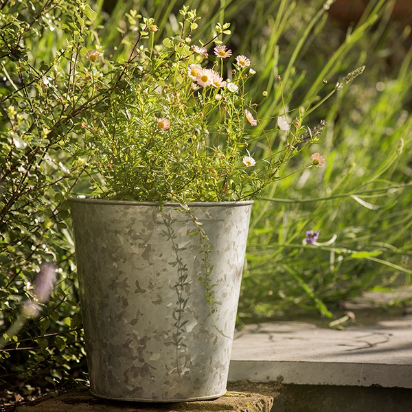 Single galvanised metal pot