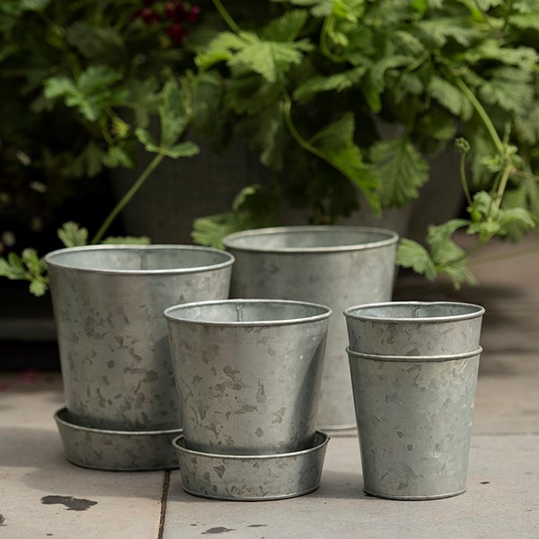 Single galvanised metal pot