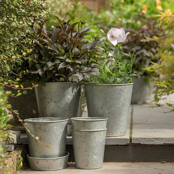 Single galvanised metal pot