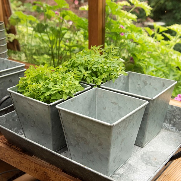 Galvanised square pot