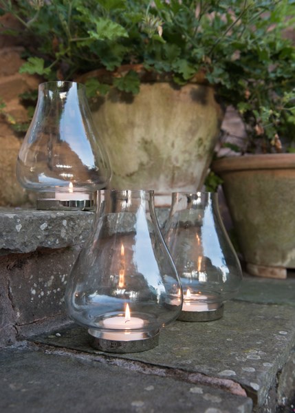 Tulip hurricane lantern