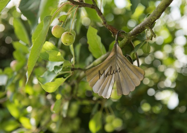 Ginkgo leaf plant markers