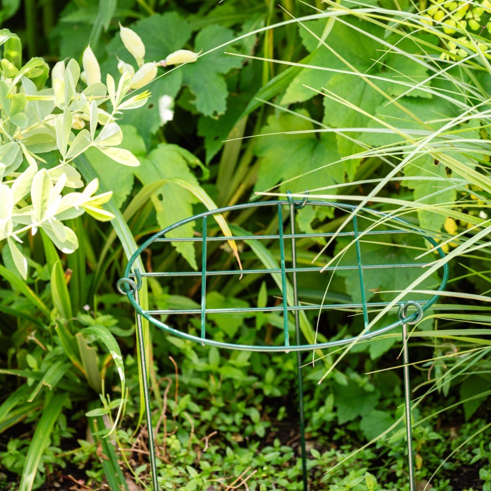 Grow-through ring support