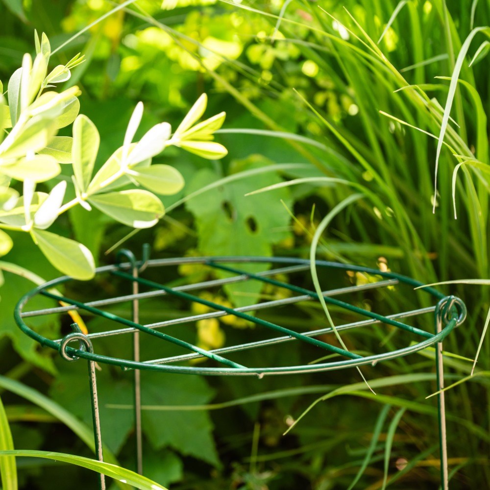 Grow-through ring support