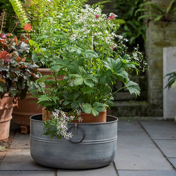 Metal planter