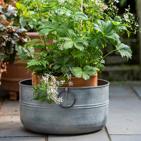 Metal planter