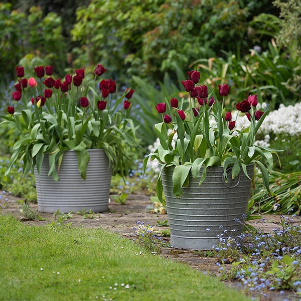 Ribbed galvanised metal tub