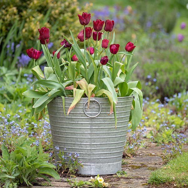 Ribbed galvanised metal tub