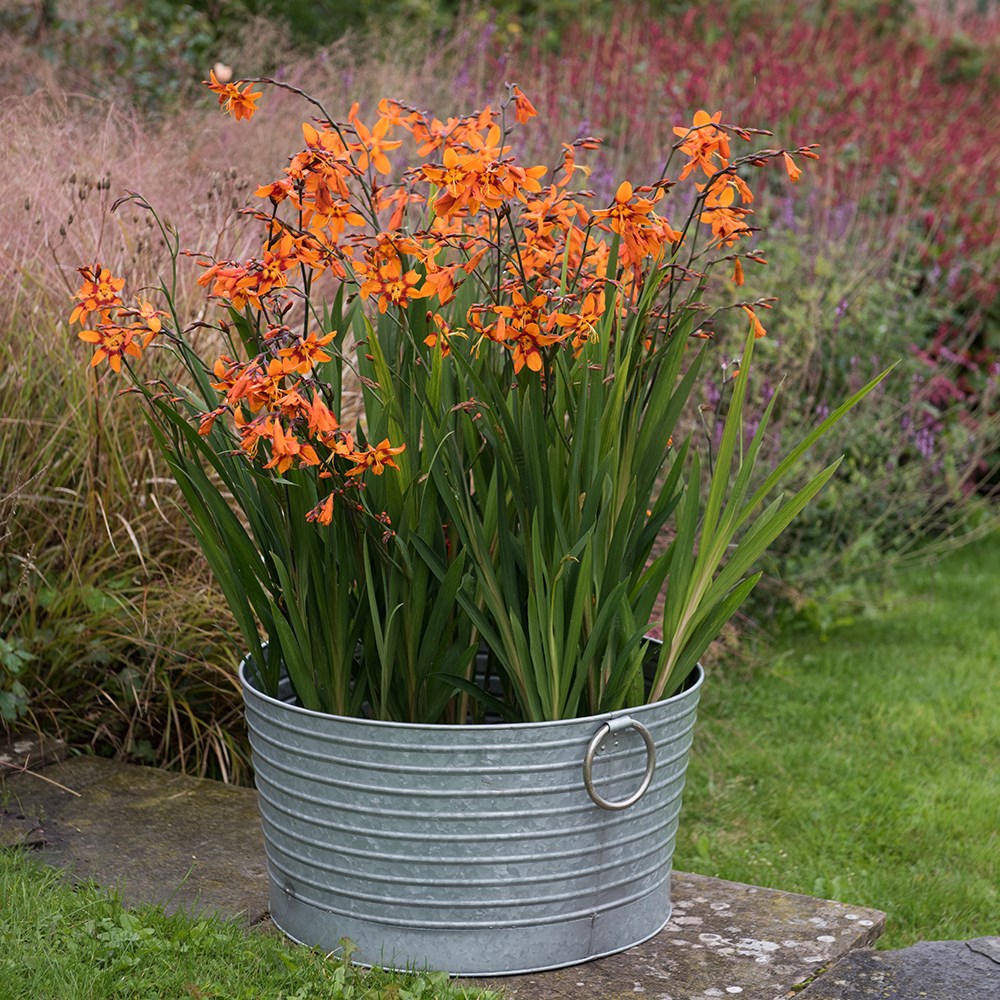 Ribbed galvanised metal tub