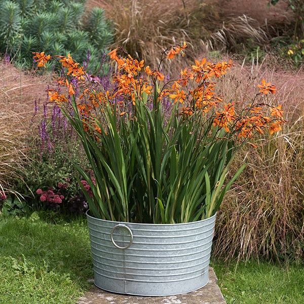 Ribbed galvanised metal tub