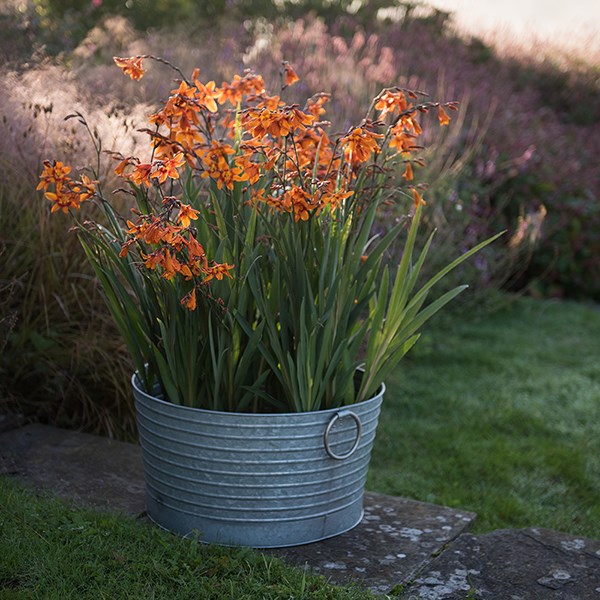 Ribbed galvanised metal tub