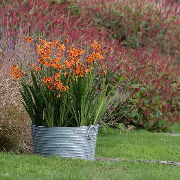 Ribbed galvanised metal tub
