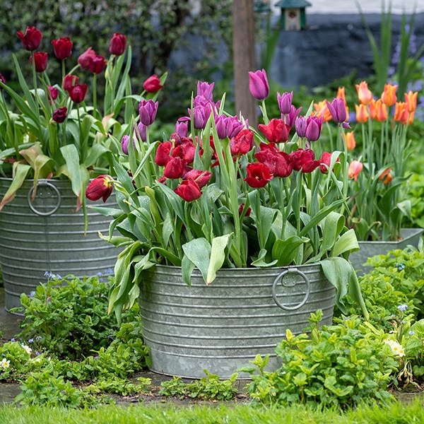Ribbed galvanised metal tub