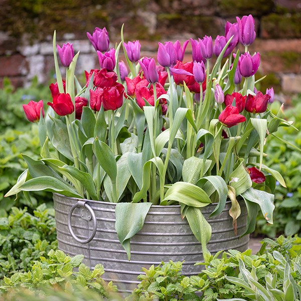 Ribbed galvanised metal tub