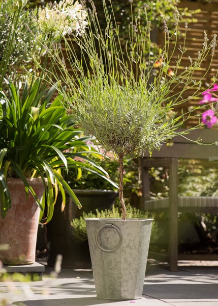 Faceted galvanised metal planter