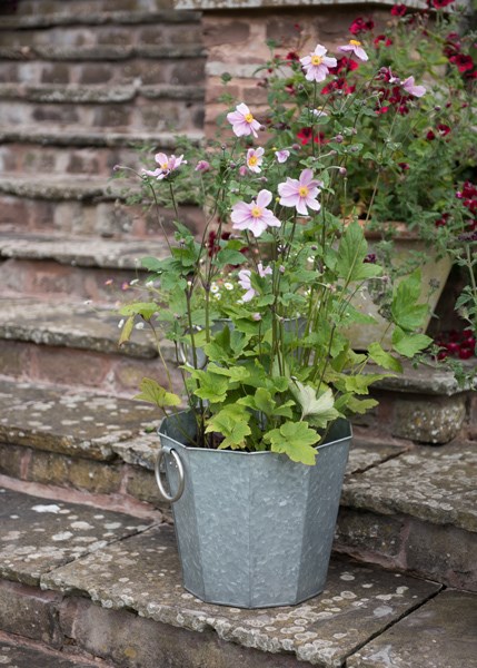 Faceted galvanised metal planter