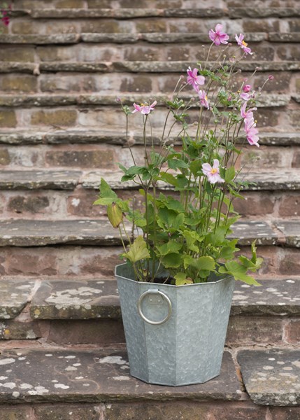 Faceted galvanised metal planter