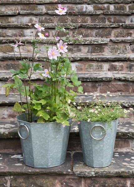 Faceted galvanised metal planter