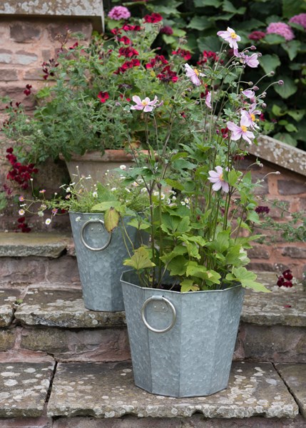Faceted galvanised metal planter