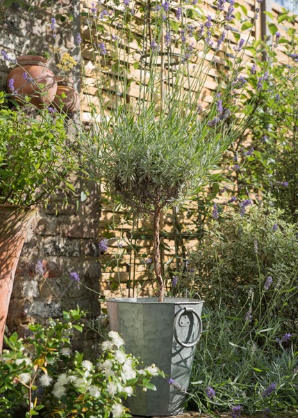 Faceted galvanised metal planter