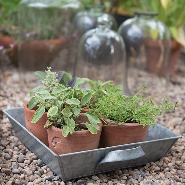 Galvanised metal tray with handles