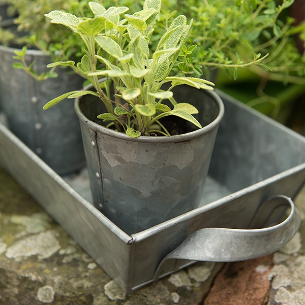 Galvanised metal tray with handles