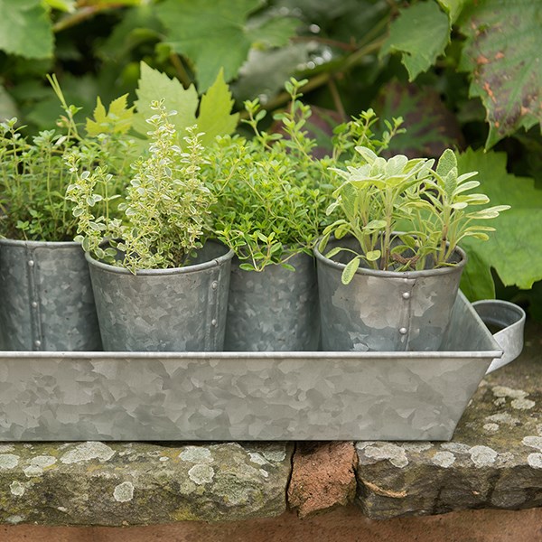Galvanised metal tray with handles