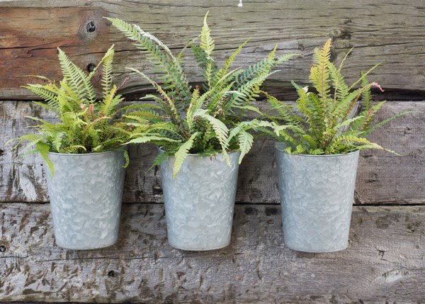 Galvanised metal wall planters - set of 3