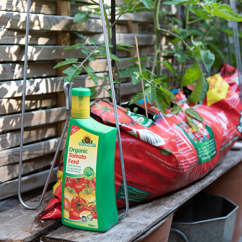 Organic tomato feed