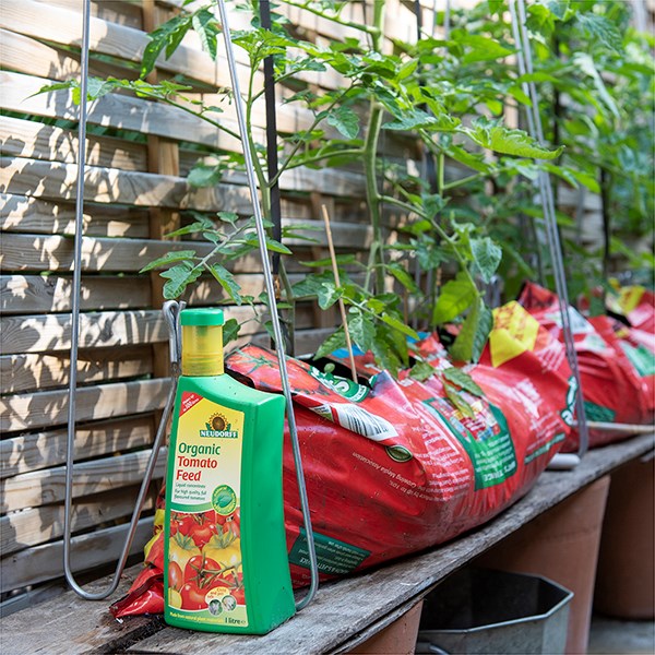 Organic tomato feed