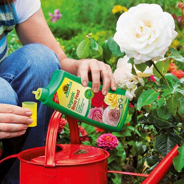 Organic rose feed