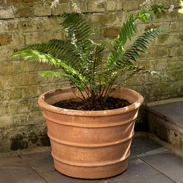 Monachou fardipati terracotta pot