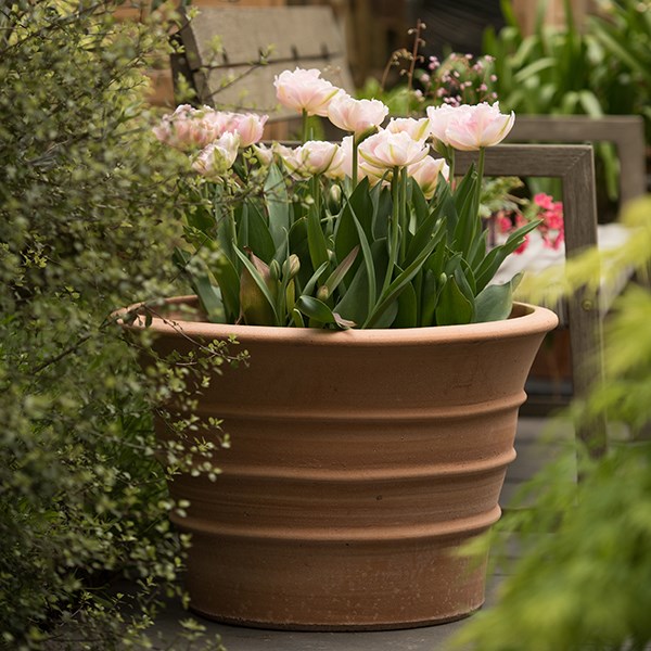 Monachou fardipati terracotta pot