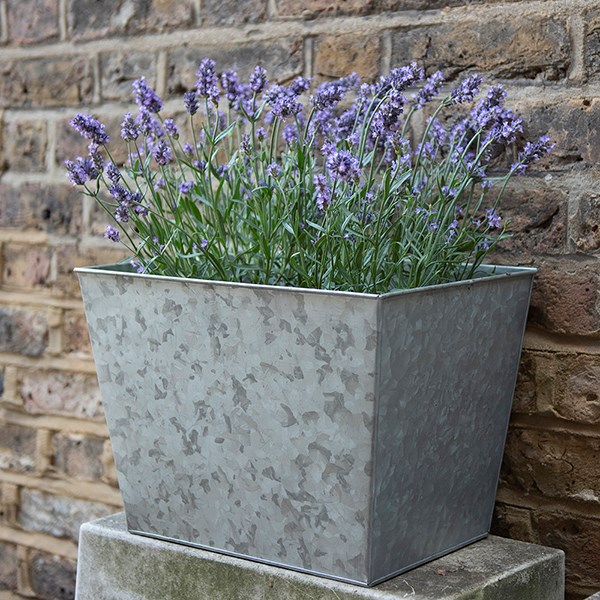 Galvanised metal planter