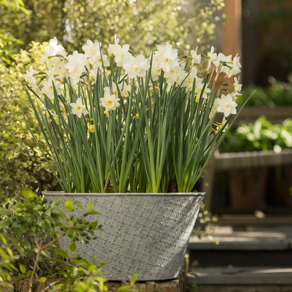 Embossed galvanised metal planter - aged zinc