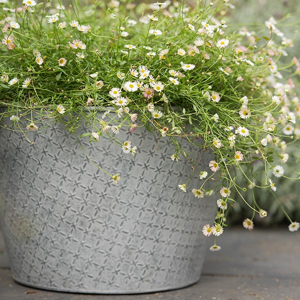 Embossed galvanised metal planter - aged zinc
